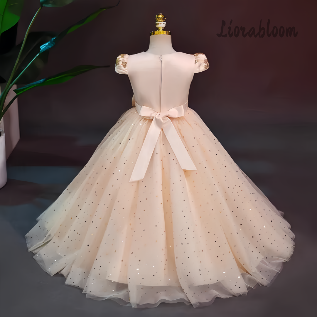 Formal Multicolor Evening Gown - Formal Wear Gowns For Women reseña y precio