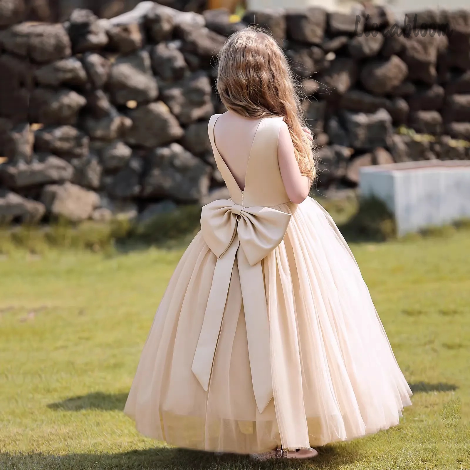 Multicolor Backless Princess D - Formal Wear Gowns For Women reseña y precio